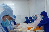 Các điều kiện để xuất khẩu chính ngạch sầu riêng sang Trung Quốc