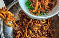 Những điều cần đặc biệt chú ý khi ăn các món lươn ở hàng quán