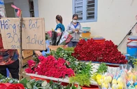 Bất ngờ về giá hoa hồng ngày lễ tình nhân 14-2