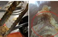 Bị tố món ăn có giòi, chuỗi BBQ tại TP.HCM lên tiếng đính chính?