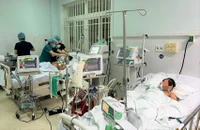 Vì sao món cá chép ủ chua lại gây ngộ độc?