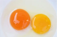 Màu sắc của lòng đỏ trứng gà có quyết định chất lượng dinh dưỡng?
