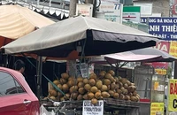 Giá dừa sáp siêu đắt, gấp 10 lần dừa nước thông thường