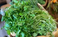 Đâu mới là cách ăn cải xoong vừa an toàn vừa nhận nhiều chất dinh dưỡng?