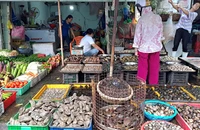 Người nội trợ bất ngờ với giá hải sản dịp lễ 2-9 