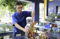 Tôm hùm Đông Úc lần đầu xuất hiện: Giá ‘chát’ nhưng được yêu thích