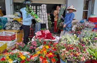 Hoa hồng có giá rẻ bất ngờ trước ngày 20-10