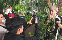 Nông dân miền Tây livestream bán hoa Tết cùng người nổi tiếng