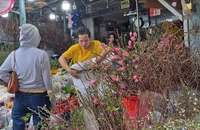 Chợ hoa Tết nhộn nhịp nhờ 'trend' cắm tuyết mai, cành mận rừng