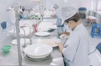 Ngành yến sào Việt xa giấc mơ tỉ USD 