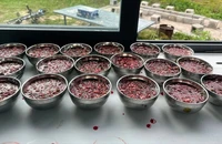 Ăn tiết canh hấp có an toàn hơn ăn sống?
