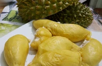 Giá sầu riêng tiếp tục tăng, có loại lên 165.000 đồng/kg