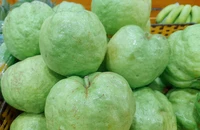 Ổi giàu vitamin C nhưng ai nên hạn chế ăn?