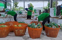 Hàng Việt 'chiếm sóng' thị trường Tết, đặc sản nội đánh bật hàng ngoại 