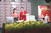 Sầu riêng đông lạnh nguyên trái gây sốt thị trường online