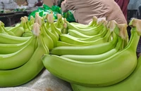 Trái cây Việt Nam ngày càng được lòng thị trường Trung Quốc