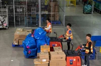 Nhà bán hàng nội địa ngày càng 'nhọc nhằn' hơn trên chợ online
