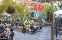 Quán cà phê, trà sữa tại Việt Nam bội thu dù khách giảm chi