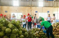 Xuất khẩu sầu riêng, trái cây sang thị trường Trung Quốc giảm mạnh