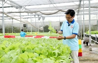 Nông nghiệp công nghệ cao tìm cơ hội vươn mình