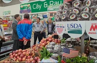 Sau trái cây đến sò điệp, ốc kèn, cua hoàng đế Mỹ vào Việt Nam nhiều