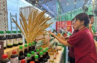 Thúc đẩy tiêu dùng xanh ở giới trẻ qua Ngày hội Việt Nam Xanh 2025