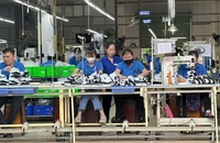 Máy chủ AI, nông sản giúp hàng Việt thắng lớn tại Mỹ