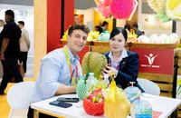 Rau quả Việt Nam vượt chỉ tiêu xuất khẩu