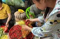 Vì sao giá ớt đắt hơn thịt, người bán không dám tặng kèm?