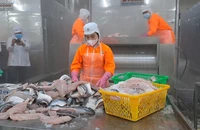 Cuối năm, doanh nghiệp thủy sản nhận tin vui về thuế