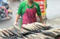 Một khách hàng chi hơn 5 triệu đồng mua cá lóc nướng trong siêu thị