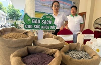 TP.HCM có thêm 2 hội chuyên biệt hỗ trợ doanh nghiệp chuyển đổi xanh
