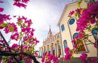 Tòa Giám mục Phan Thiết khuyến khích thánh lễ trực tuyến