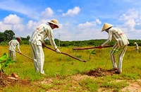 1 Đại úy cảnh sát Trại giam Z30D bị bắt vì nhục hình phạm nhân