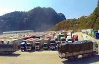 Nhà xuất khẩu khóc ròng vì phương án 'cắt đầu container'