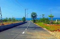 Bình Thuận: Lên phương án khắc phục sai phạm tại 132 thửa đất ở Phan Thiết
