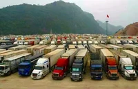 Bán sầu riêng, thanh long... sang Trung Quốc cần chú ý điều này