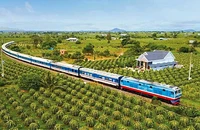 Đến 2030, xây mới 16 tuyến đường sắt dài gần 5.000 km