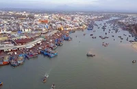 Bình Thuận kiểm điểm 9 cán bộ để tàu cá đánh bắt trái phép bị Malaysia bắt