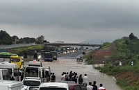 Bình Thuận kết luận về cao tốc Phan Thiết-Dầu Giây bị ngập lụt