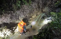 Bình Thuận: 2 người tử vong và mất tích do mưa lũ, sóng lớn