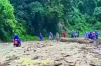 Sạt lở làm 'biến mất' cả con đường dài 25m, rộng 4m ở Bình Thuận