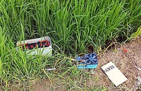 Người phụ nữ bắt ốc tử vong trên bờ ruộng nghi vướng bẫy điện 