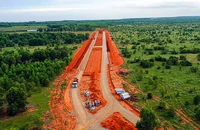Chuyển đổi hơn 1,4 ha rừng trồng để làm đường kết nối sân bay Phan Thiết
