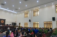Bình Thuận: Năm 2023 mỗi ngày tòa án giải quyết hơn 14 vụ ly hôn