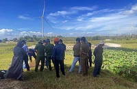 Truy tìm thân nhân nam thanh niên tử vong cạnh ao sen