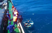 Tàu cá bị tàu vận tải đâm chìm, 5 thuyền viên được cứu sống