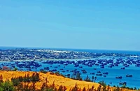 1 du khách mất tích khi đi tắm biển ở Mũi Né