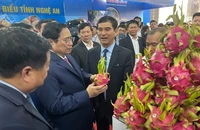 Thanh long Bình Thuận mỗi năm xuất khẩu biên mậu hơn 370 triệu USD