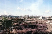Người dân thắng kiện chủ tịch huyện giòn giã ở cả 2 cấp tòa